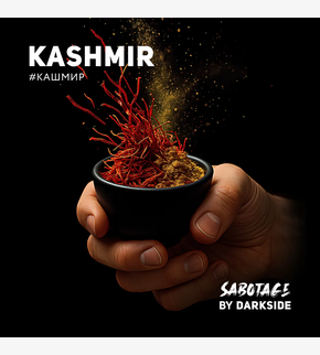 Darkside SABOTAGE Kashmir 30гр