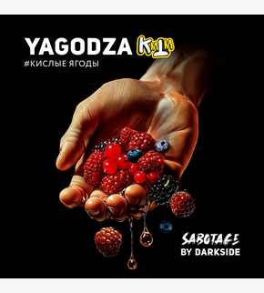 Darkside SABOTAGE Yagodza 30гр