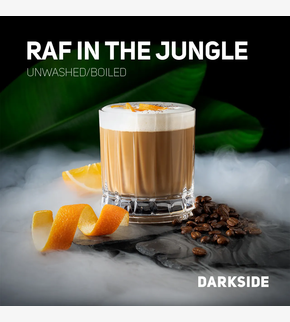 Darkside CORE Raf in the Jungle 250гр